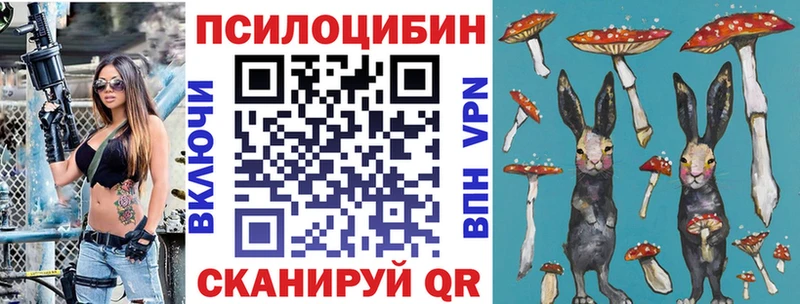 кракен как зайти  Самара  Псилоцибиновые грибы Cubensis 